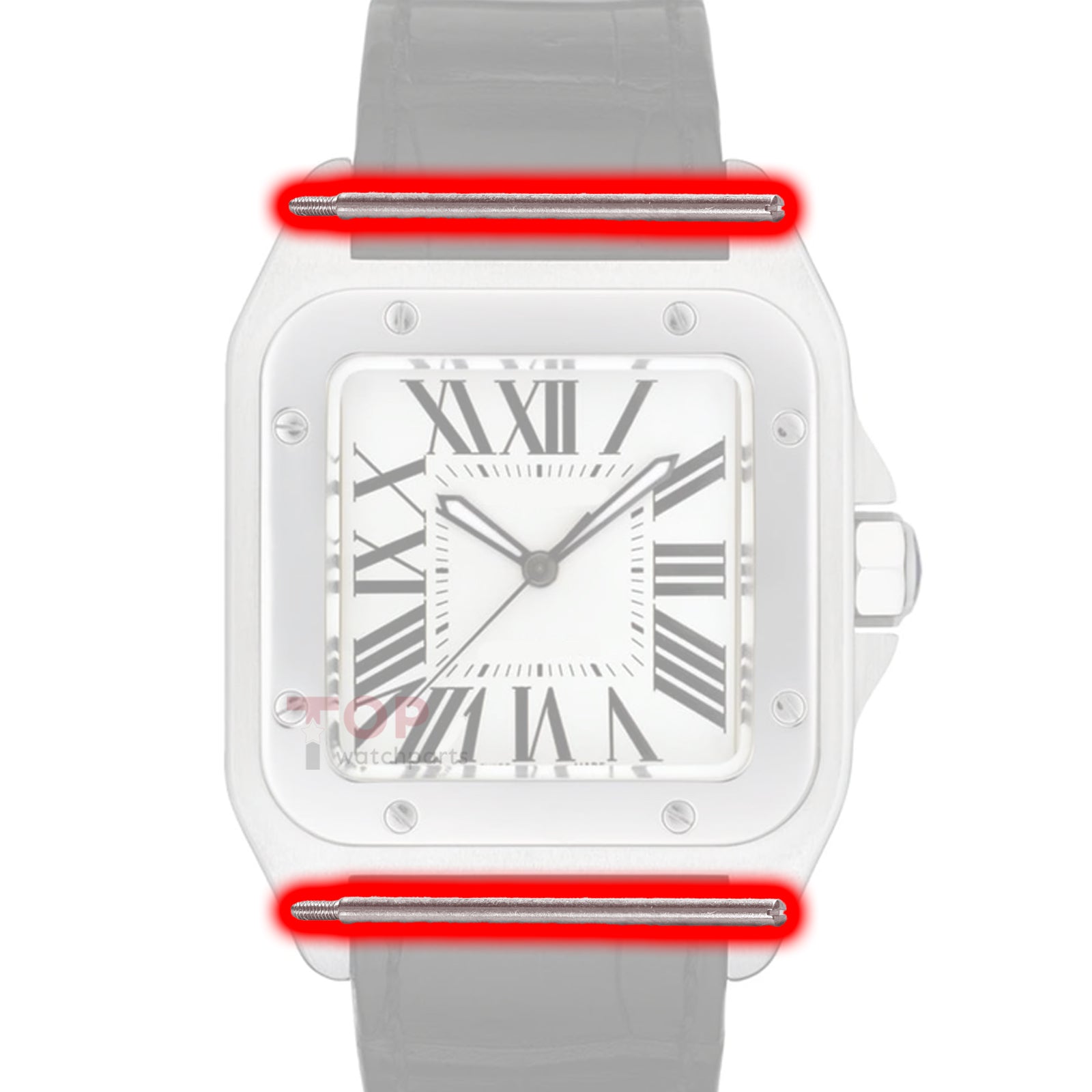 أنبوب لولبي لـ Cartier Santos 100 M/L/XL watch lug توصيل حزام ساعة قضيب لولبي